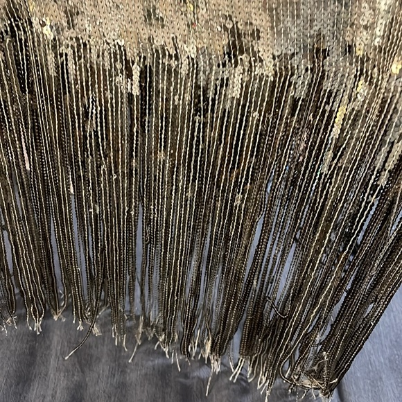 Vici Metallic Fringe Short Sleeve Top in Silver - Picture 5 of 7